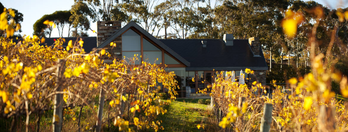 Close-up-The-Retreat.jpg
