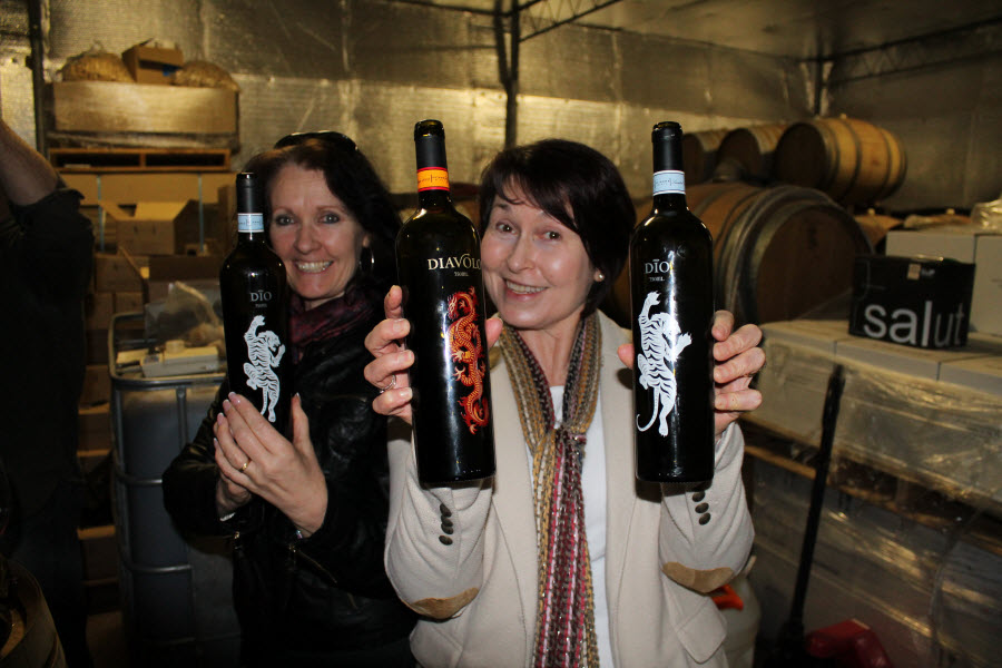 Hero-McLaren-Vale-Cellar-Door-Tour-June-03.jpg