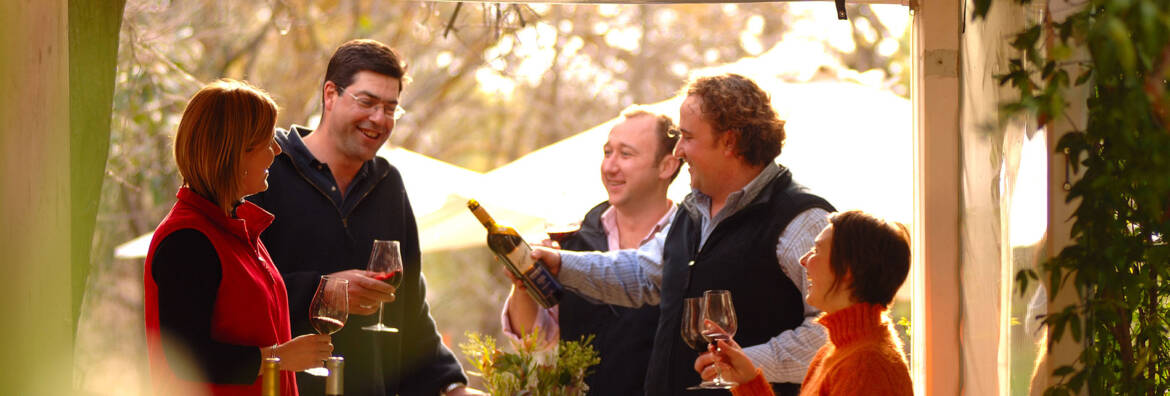 cellar-door-wine-tours-visit-south-australian-region.jpg