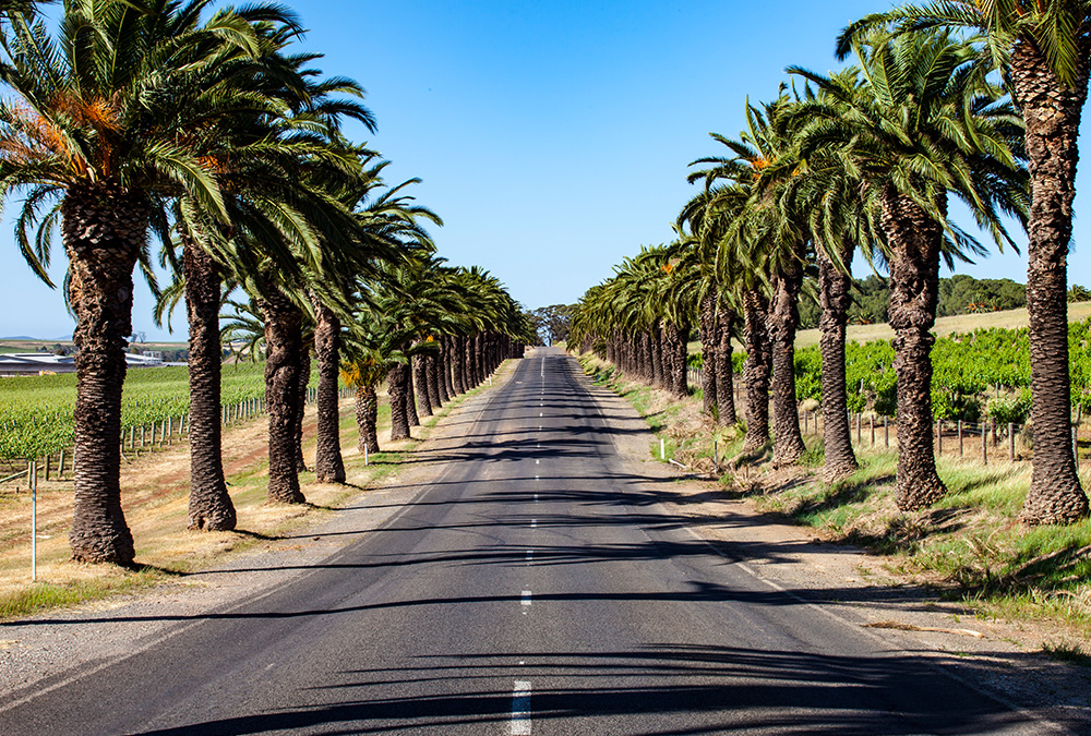 barossa valley wine tours au