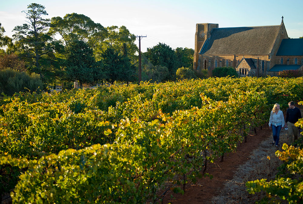 Adelaide Hills Wine Tour Charter a wine tour bus in the Adelaide