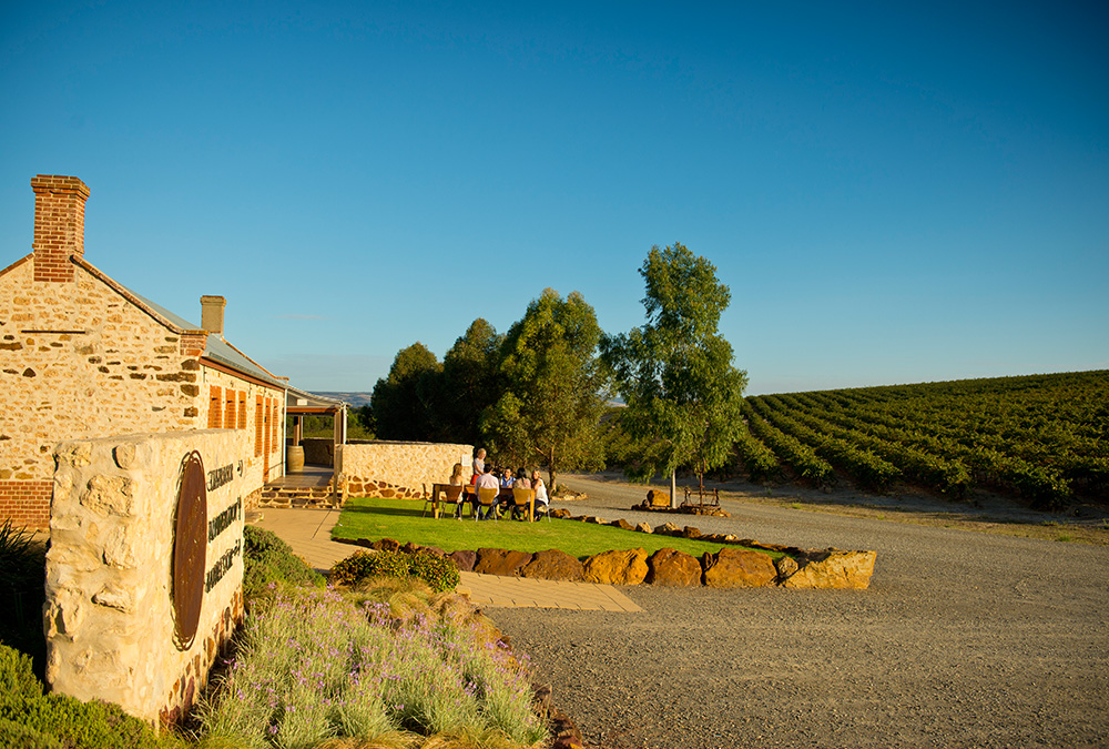 camel wine tours mclaren vale